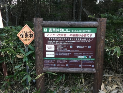 10茶臼山から麦草峠 (5)