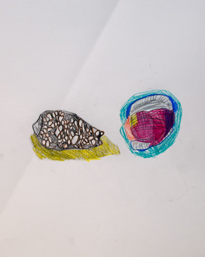 子供クラスの貝の絵