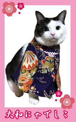 kimono09_miruko.jpg