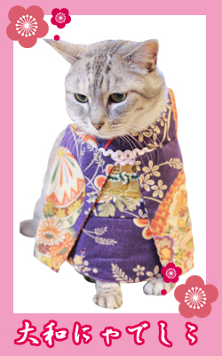 kimono10_runa.jpg