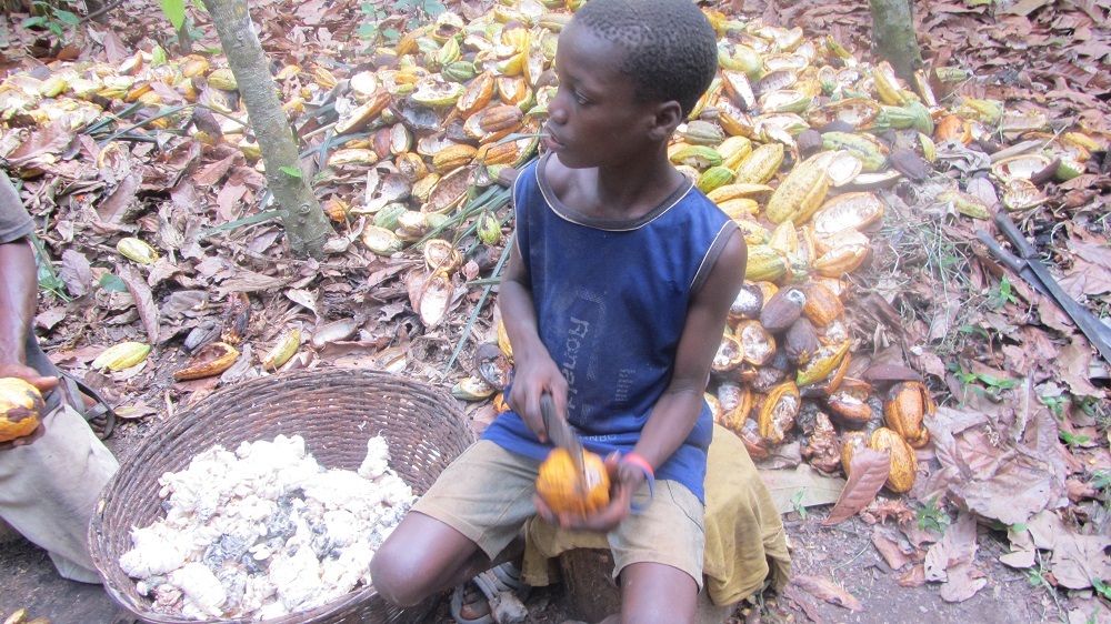 ガーナの児童労働