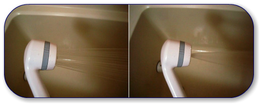 モラタメ　ダスキン　浴室用浄水シャワー