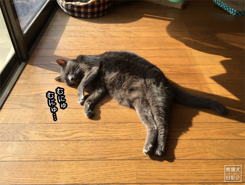 20181110_石像猫6