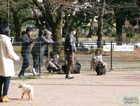 20190115_駒沢公園5