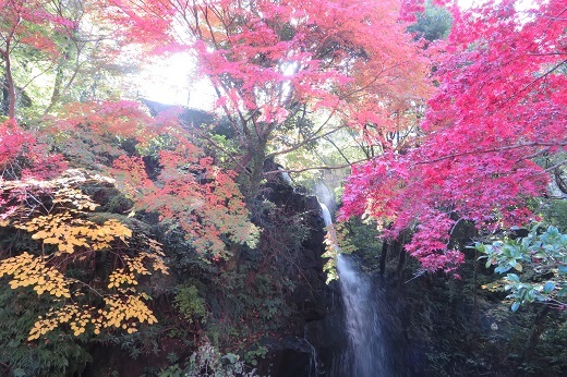 「万葉公園」の滝周辺の紅葉１