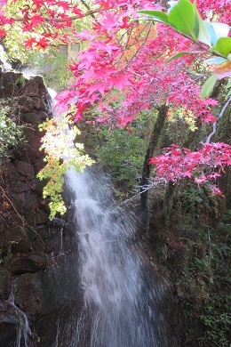 「万葉公園」の滝周辺の紅葉３