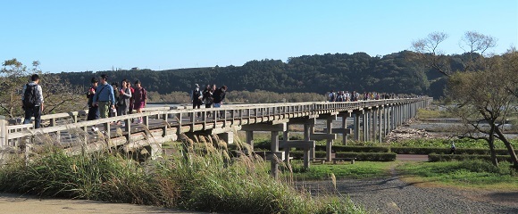 大井川に架かる蓬莱橋