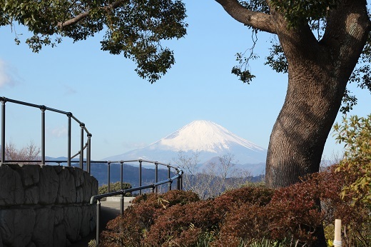山頂からの富士山２