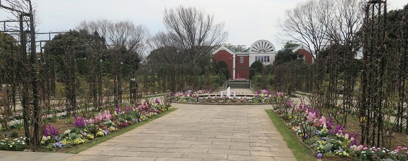 港の見える丘公園の花壇