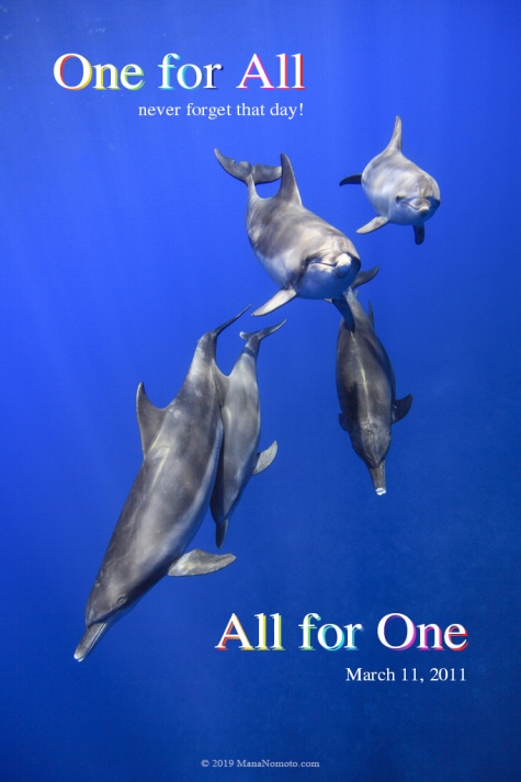 One for All_2019_3_11