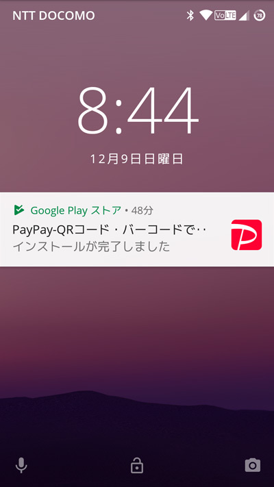 PayPay01.jpg