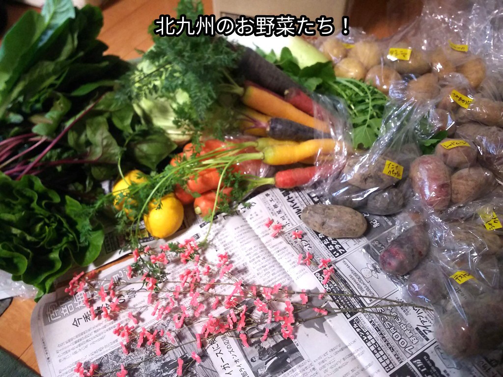 北九州のお野菜たち！