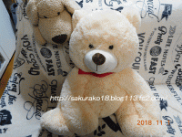 2018-11-02桜子誕生日熊のぬいぐるみ