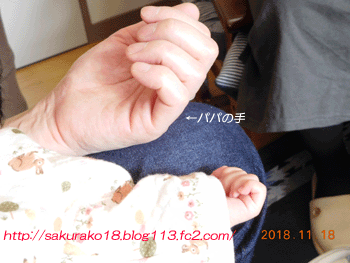 2018-11-18姫ちゃんの手