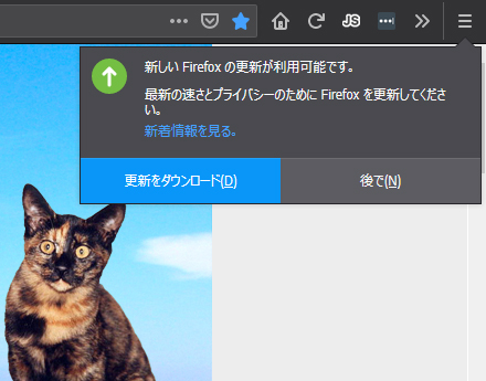 Mozilla Firefox 64.0 Beta 9