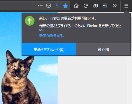 Mozilla Firefox 64.0 Beta 14