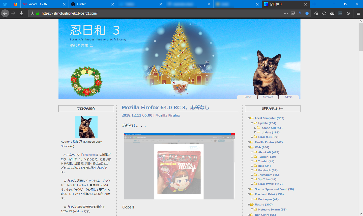 Mozilla Firefox 65.0 Beta 3
