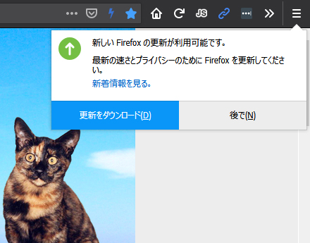 Mozilla Firefox 65.0 Beta 12