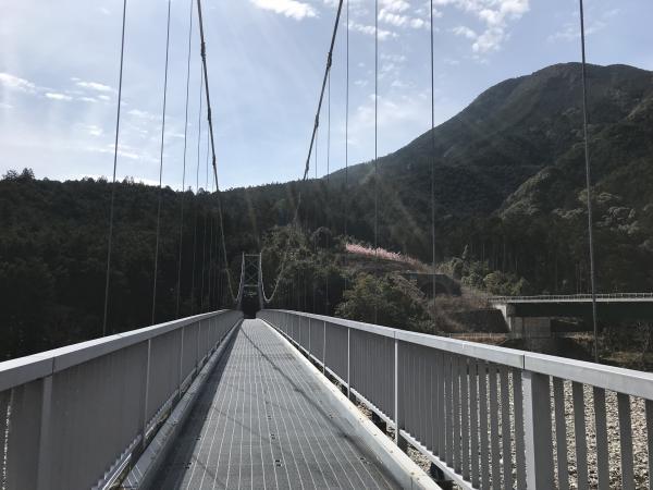 銚子川にかかる平尾吊橋の上