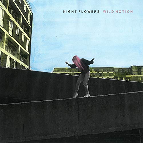 night flowers wild notion