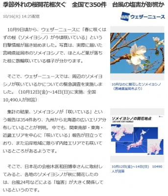 桜開花　塩害　台風301016