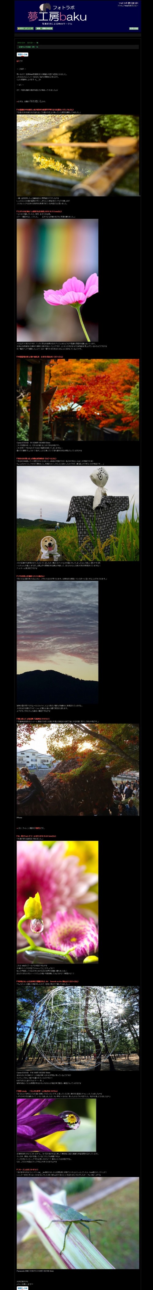 フォトラボ 夢工房 ばく 定期Web写真展（秋）18_e