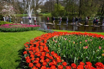 オランダ　キュヘンホフ公園